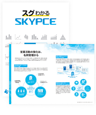スグわかるSKYPCE